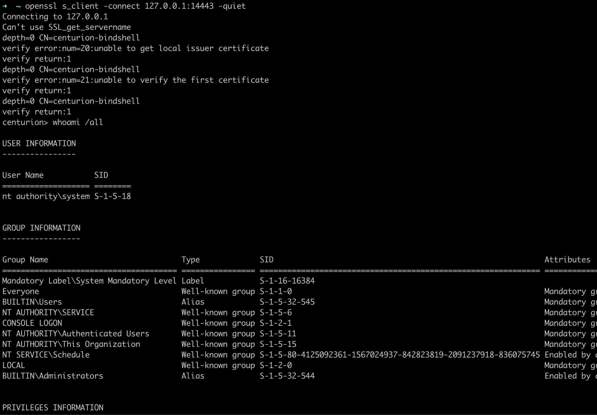TLS 1.2 bind shell: connecting via OpenSSL to a Centurion VM payload running on a remote Windows host