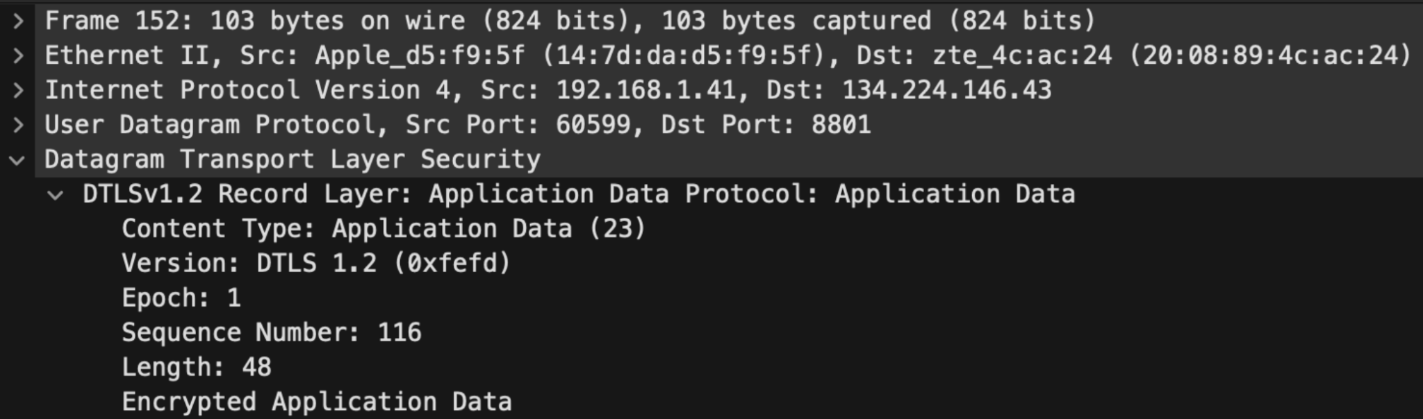 A screenshot showing how DTLS is used over 8801/UDP during the WebRTC connection which is distinct from the custom UDP protocol used by Zoom in the desktop application
